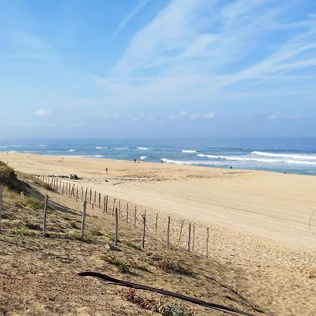 Les Bourdaines By Interhome Lägenhet Seignosse