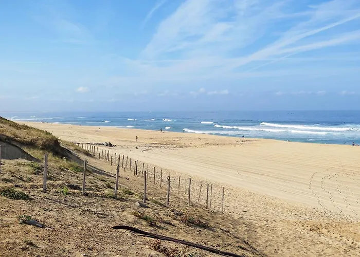 Les Bourdaines By Interhome Lejlighed Seignosse